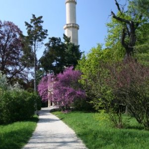 21.4.2011 15:33, autor: Teoretik / Pohľad na minaret
