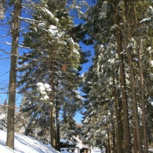 Zimný tábor Kremnické vrchy (18. až 25.2.2012)