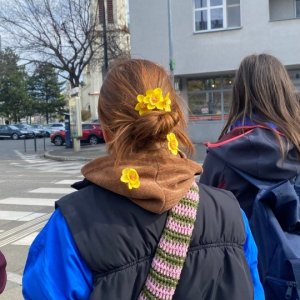 'IMG 4135' / Dátum: 10.4.2025