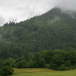'044-DSC04234' / Dátum: 17.7.2025