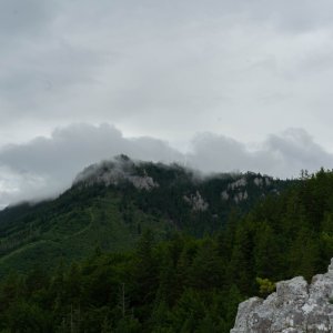 '064-DSC04320' / Dátum: 17.7.2025