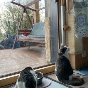 VaV Výlet za tetou Cilou (9.11.2025)