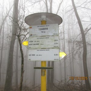                                 / '036-36-IMG 0158' / Dátum: 13.12.2025