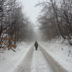 '08' / Dátum: 25.1.2026