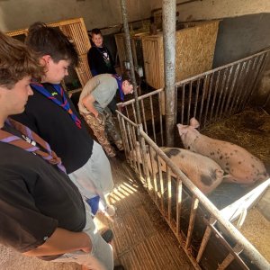 'image00003' / Dátum: 18.4.2026